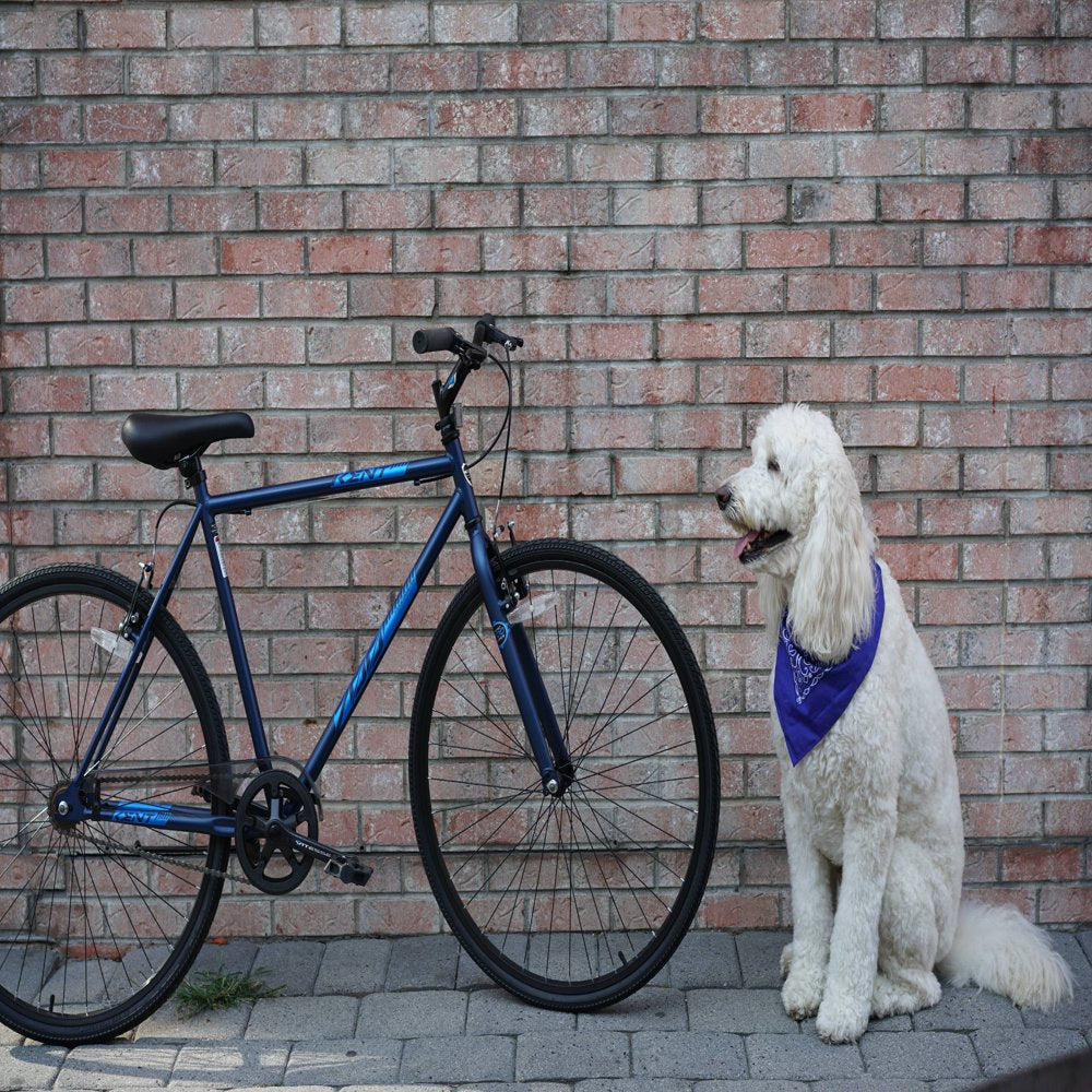 700c Thruster Fixie Men's Bike