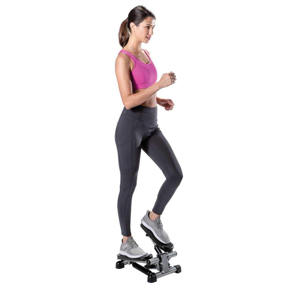 Mini Stepper with Monitor